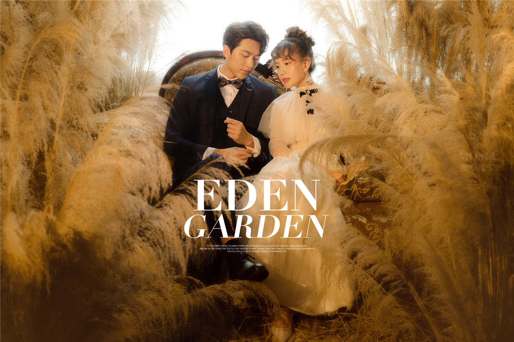 eden garden-图片4